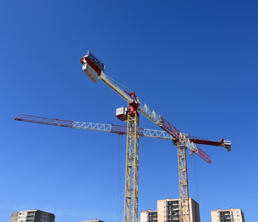 Grue à tour 220 ECB 
